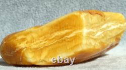 Antique Amber Baltic Stone 45 G Rare Natural White Color Top Quality For Carving