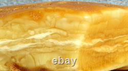 Antique Amber Baltic Stone 45 G Rare Natural White Color Top Quality For Carving