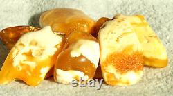 Antique Natural Amber 10 Stones High Baltic Quality Honey White Colour Rare