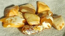 Antique Natural Amber 10 Stones High Baltic Quality Honey White Colour Rare