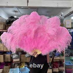 Large Fluffy Feather Fans Performance Dance Stage Show Costume Props LOT